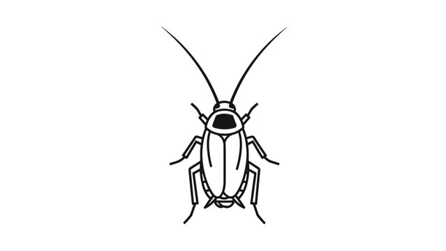 Detailed black and white line art illustration of a cockroach insect seen from a top-down perspective on a clean and simple white background.