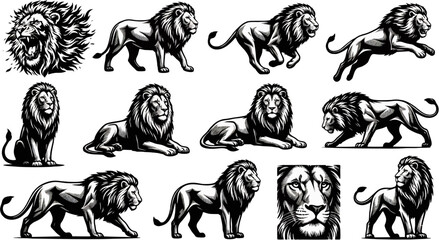 High Contrast Black and White Lion Illustration Set Multiple Poses and Expressions © Daus