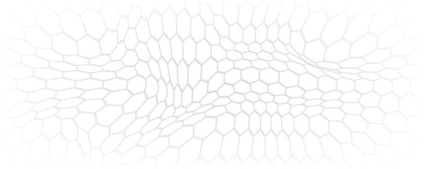 Honeycomb hexagon background pattern. Vector isolated texture. © kamilia