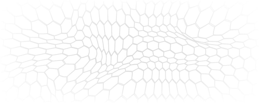 Honeycomb hexagon background pattern. Vector isolated texture.