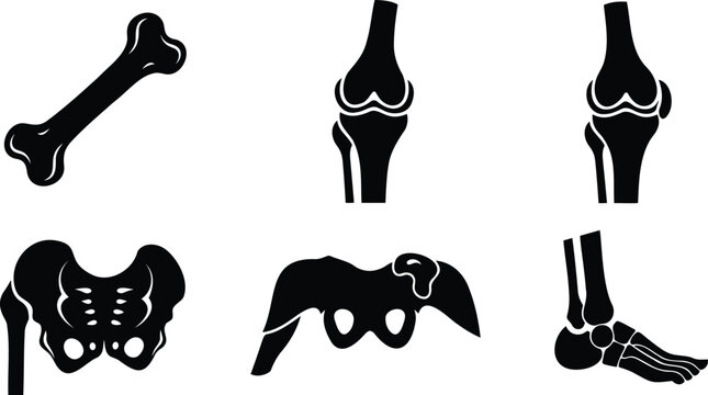 Human bone and joint anatomy silhouette illustration set for medical education in vector.