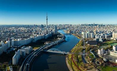 Tokyo Cityscape with Tokyo Sky Tree visible in Tokyo city, Japan on morning.  © FocusStocker