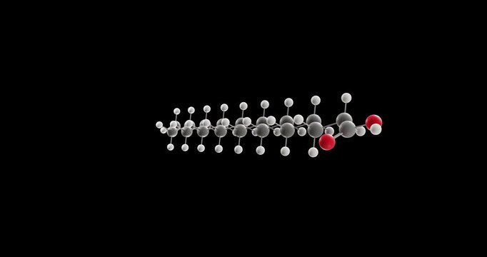 Stearic acid molecule, rotating 3D model of octadecanoic acid, looped video on a black background
