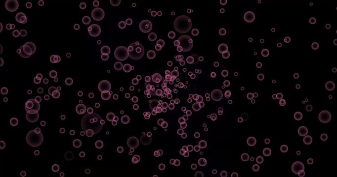 Astrological signs animated video libra