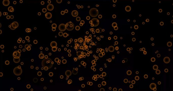 Astrological signs animated video leo