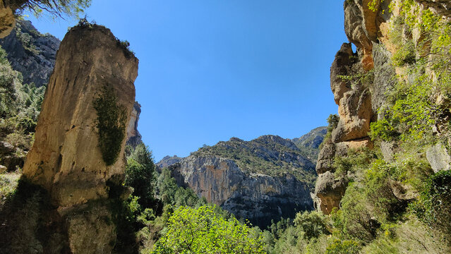 Cova d'en Marc-Castell de l'Airosa-Massis del Port