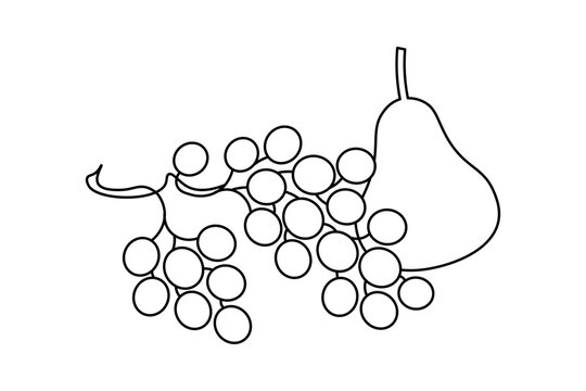 Grapes And Pear Minimal Line Art Fruit Healthy Food Illustration