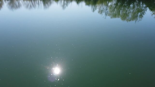 Peaceful pond landscape with sunlight reflecting on calm water surface, natural lake scenery, shimmering reflections and serene outdoor atmosphere