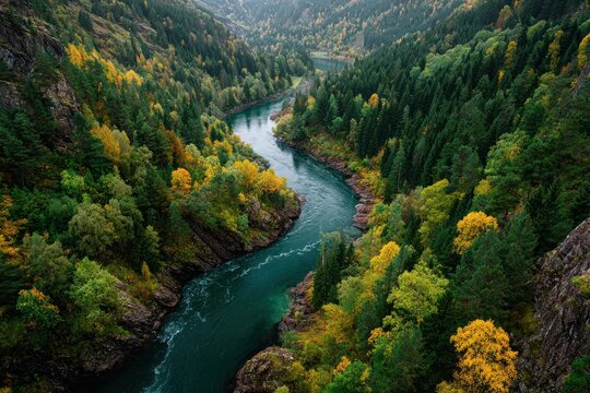 Serene River Flowing Through Vibrant Autumn Forest