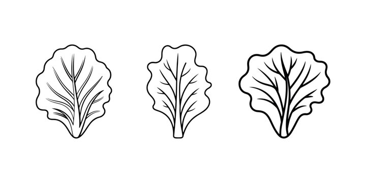 Lettuce leaves vector set, outline style for ui and ux, website or mobile application, business and finance for app, fresh vegetable.
