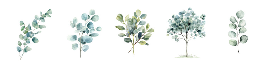 Collection of eucalyptus tree painting design, Hand-painted style, vectorized, vector set available in EPS, Simple Hand-painted watercolor style, vector set available in EPS, Simple Hand-painted wate © Zizak