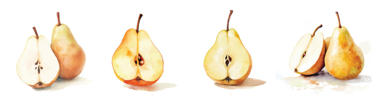 Collection of sliced pear painting designs, Hand-painted style, vectorized, vector set available in EPS, Simple Hand-painted watercolor style, vector set available in EPS, watercolor fruits