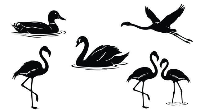 Water Bird Silhouette Set, Duck Swan Flamingo Black Vector Collection, Flying Swimming Standing Bird Icons