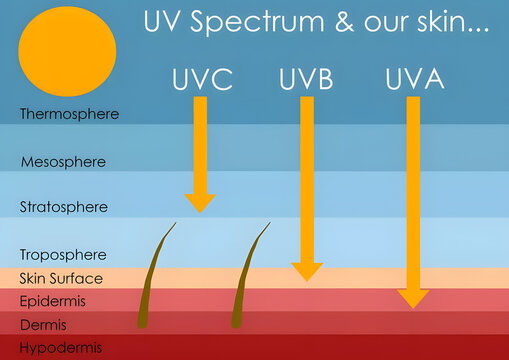 UV Spectrum and Skin Layers: A simplified educational illustration of the UV spectrum (UVA, UVB, UVC) and their effects on skin layers