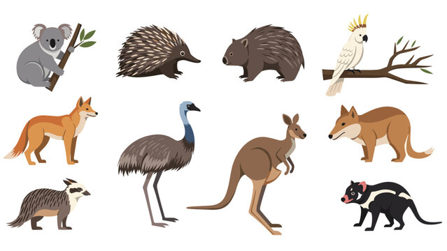 Diverse collection of iconic Australian animals featuring a koala, kangaroo, emu, echidna, wombat, and tasmanian devil among others.