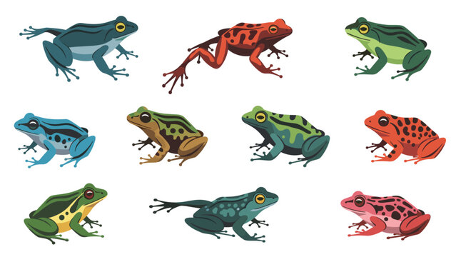 Collection of colorful tropical frog species shown in various realistic positions and bright patterns on a white background.