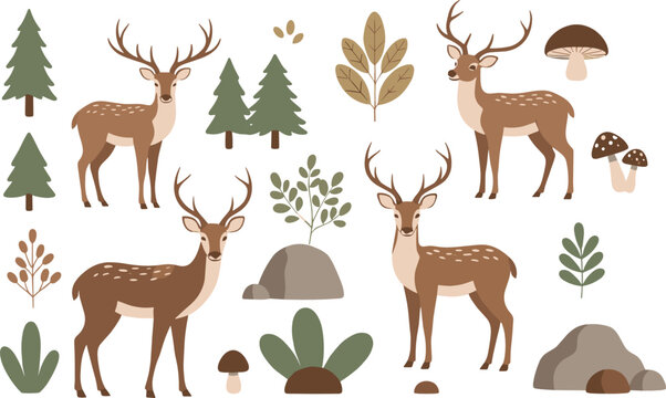Forest and Woodland Vector Collection with Deer Trees Mushrooms Rocks and Leaves for Nature Wildlife Illustrations and Educational Designs