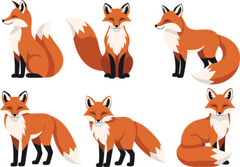 Fototapeta premium Fox Vector Collection with Red Fox Animals in Various Poses for Wildlife Illustrations Educational Designs and Nature Projects