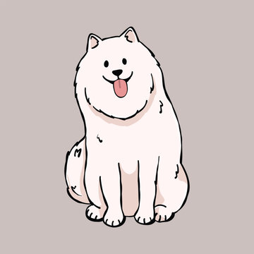 illustration of a cute white samoyed dog smiling
