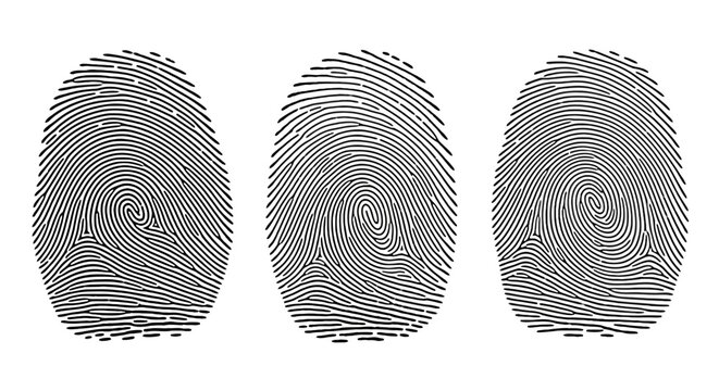 Biometric fingerprint scan icons, set of 3 black human thumbprint vectors, forensic identification and digital security verification symbols
