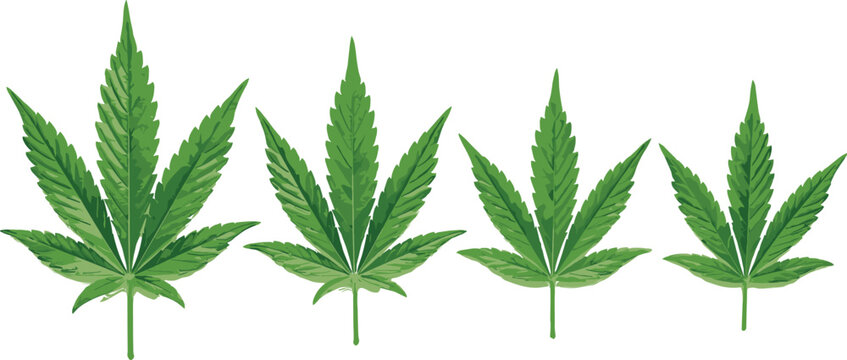 Cannabis Leaf Set Vector with Different Designs in Green for Nature, Plant, and Botanical Graphics