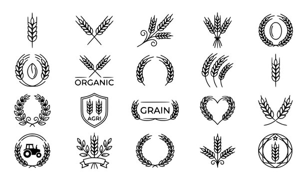 Wheat ears icons set vector thin line grain spike agriculture logo outline editable stroke isolated white background