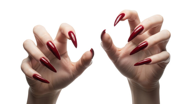 Long red stiletto nails on female hands, sharp pointed manicure in claw gesture, dark cherry red acrylic nails for halloween and gothic fashion isolated PNG with Transparent Background