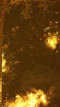 A forest fire burns fiercely in a wooded area during the evening. Flames rise among the trees, and smoke fills the air. The environment looks dry and dangerous as embers drift.