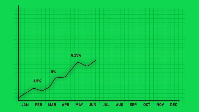 Modern financial growth chart showing monthly percentage increase from January to December with glowing line graph on dark grid background