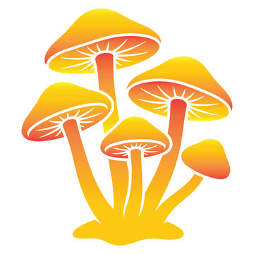 Yellow Mushrooms Fungi Growing Together.