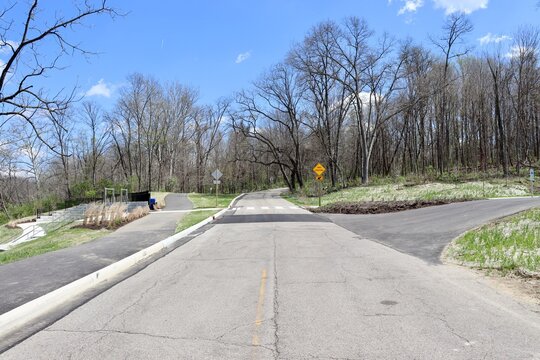 The empty road in the woods on a sunny day.