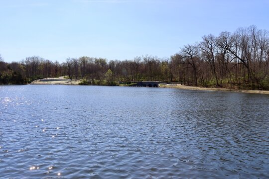 The peaceful lake in the park on a sunny day.