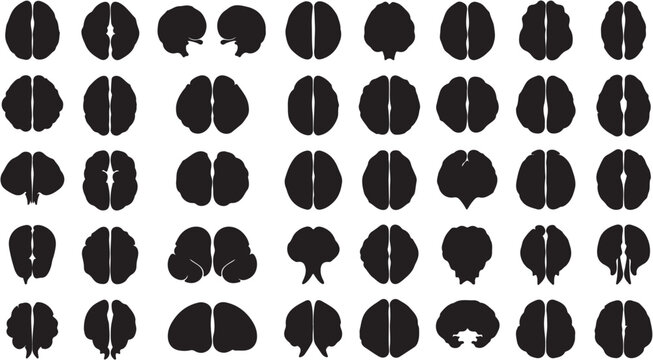 Human Brain Anatomy Silhouettes in Various Views and Orientations.