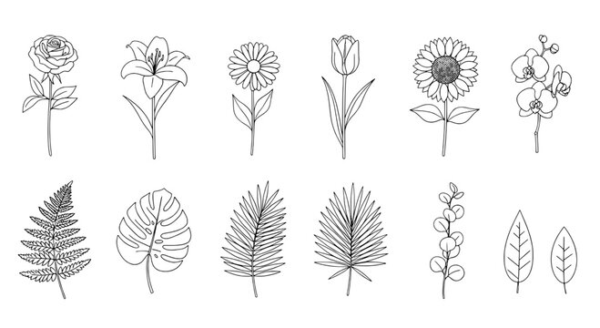 Flower line art set with doodle outlines, botanical stems and leaves for minimalist vector icons and prints