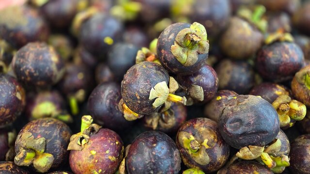 Fresh mangosteen fruits piled at market stall. Dark purple tropical fruit with thick rind and green stems displayed for sale in grocery or street market produce section