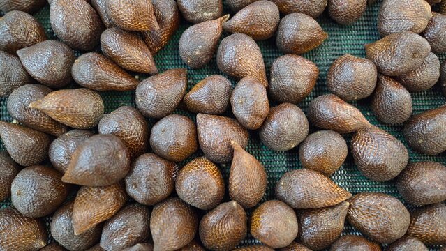Pile of fresh salak (snake fruit) with brown scaly skin displayed at market. Exotic tropical fruit with unique texture arranged in close-up natural produce setting