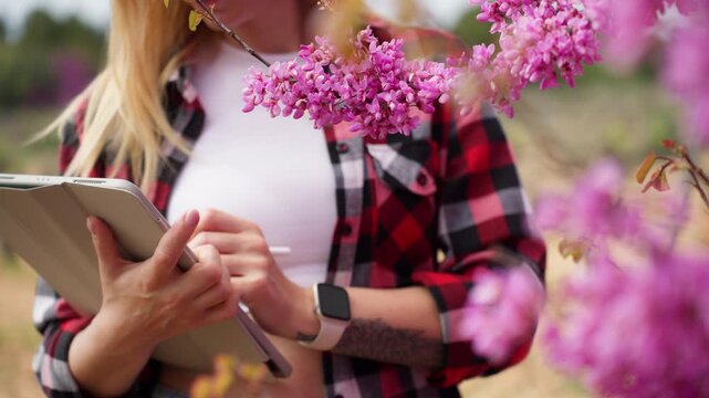 Female botanist with a digital tablet analyzing pink flowers, using smart farming technology for data collection and quality control in a modern agricultural field during spring