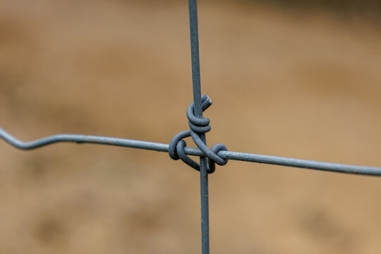 Wire fence knot detail securing intersecting metal strands