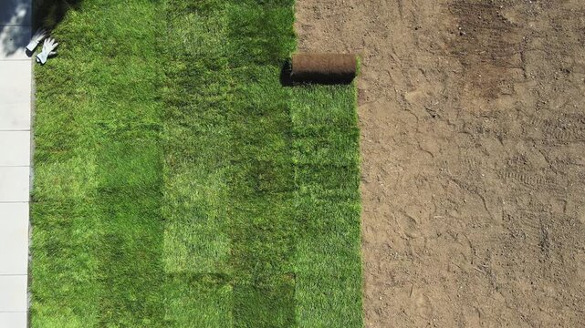 Gardening. Making a lawn from a roll. Green grass texture - well-groomed turf in the garden. View of the garden from above.