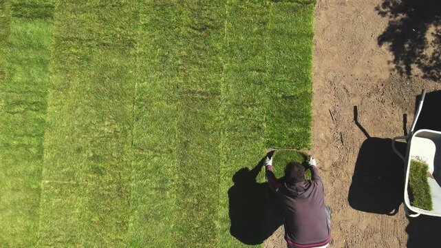 Gardening. Making a lawn from a roll. Green grass texture - well-groomed turf in the garden. View of the garden from above.