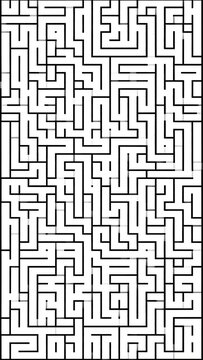 Complex Maze Puzzle.
