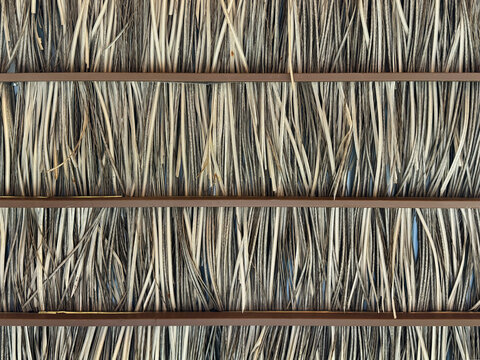 Close up of a thatch or dried straw usually used for traditional house roofing, made of reeds. Seamless background texture.