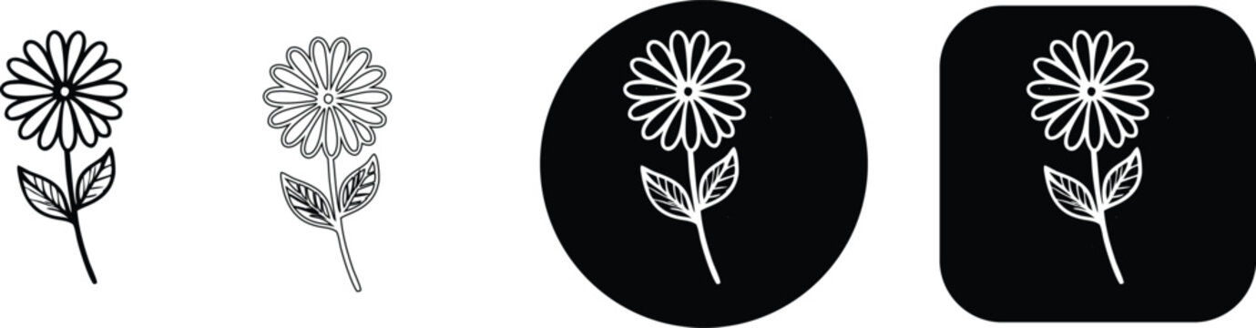 Collection of daisy flower in black and white, presented in solid, outline, circular, and rounded square