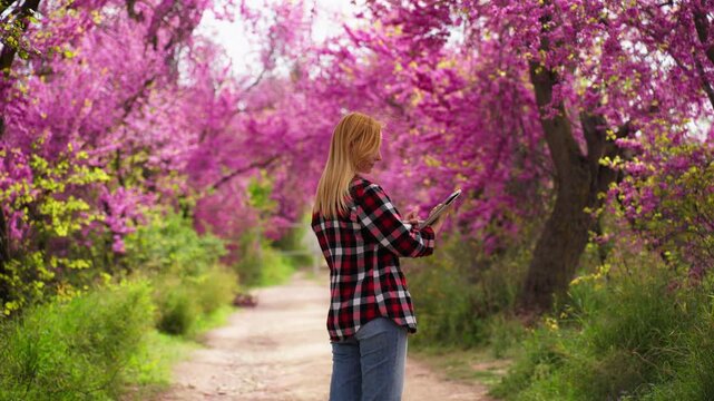 Blonde woman in a flannel shirt using a digital tablet while standing on a path in a beautiful garden with blooming pink trees, representing modern smart farming and agricultural technology