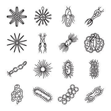 Diverse microscopic organisms and cells in a hand-drawn scientific illustration style
