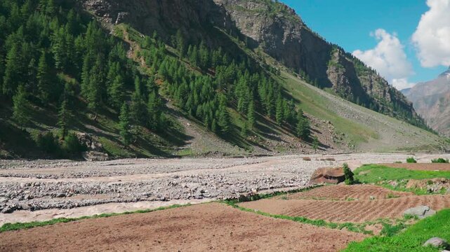 Wide angle shot of farms besides Miyar river in the Himalayan mountain valley during the summer season in Miyar Valley, Himachal Pradesh, India. Farming in the Himalayas background with copy space.