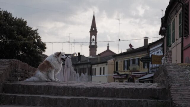 Comacchio, Ferrara, Emilia Romagna, Italy - April 29, 2026 - Views of the lagoon city's historic center
