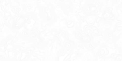 Fototapeta premium Subtle Gray Terrain Contour Background Minimal Style