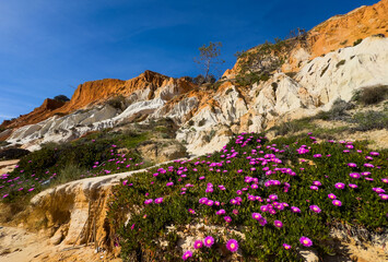 Fototapeta na wymiar Falesia Beach, Algarve, Portugal. Golden mile beach with orange rocks, golden sand and turquoise sea. Aerial drone top view perspective. Famous travel destination in south of Portugal