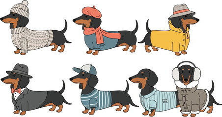 Fashionable dachshund dogs wearing stylish winter and casual outfits isolated on transparent background, isolated on white background, Vector © Mst